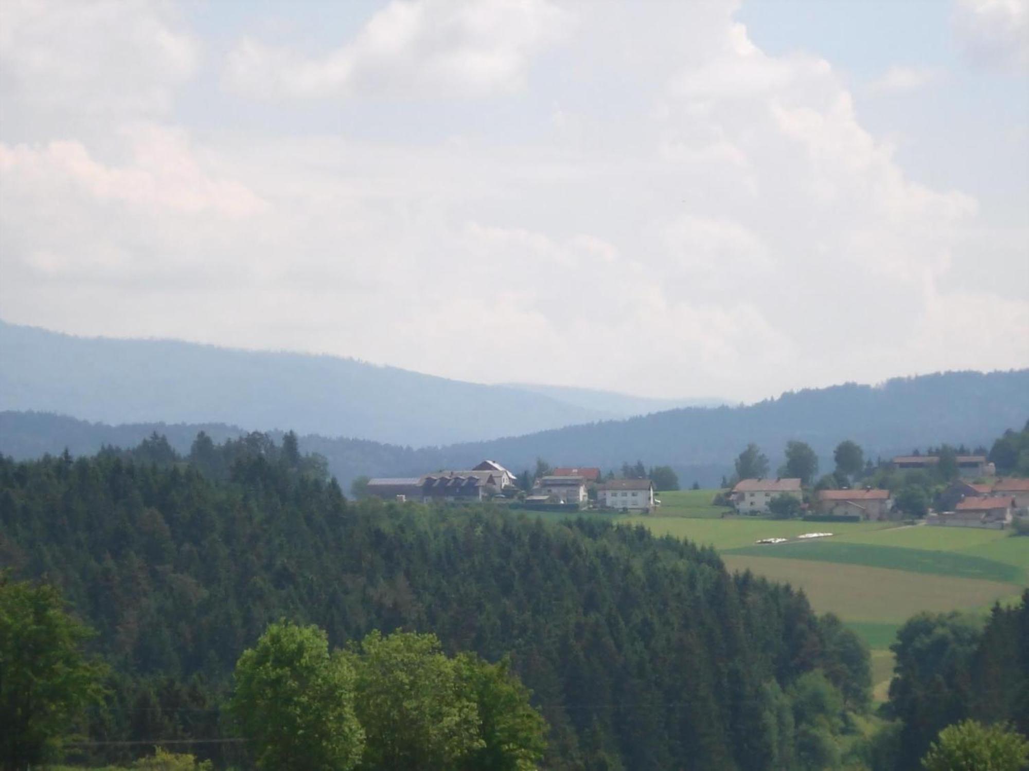 Ferienwohnung Rachel Mit Herrlichem Ausblick Rinchnach Zewnętrze zdjęcie